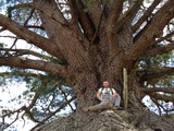 Christian Roither -25 Jahre Erfahrung mit Bäumen