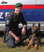 Benjo und seinem Polizeidiensthundeführer GrInsp G. Schwarzlmüller - Foto: Landespolizeidirektion Oberösterreich