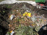 Foto_Fehlwurf Kompostierung Biotonne -- Fotos: BAV Vöcklabruck