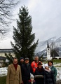 Dank für Christbaumspenden an die Stadtgemeinde Bad Ischl