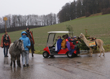 Mit Pferden, Alpakas und Golfwagerl unterwegs in Landertsham