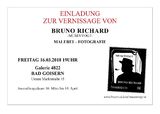 Vernissage/Ausstellung BRUNO RICHARD -MUSENVOGT- in Bad Goisern