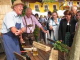 Fotos -- Alle C: Tourismusverband Fuschlseeregion - Faistenau