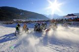 Zu schauen gibt’s für die Zuschauer genug beim Skijöring 
Bild: Karl Posch