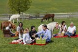 Die neue weitläufige Picknickwiese inmitten der geretteten Tiere erfreut sich bereits großer Beliebtheit ... Fotonachweis Gut Aiderbichl