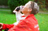 Die Jack Russell Terrier Welpen fühlen sich auf Gut Aiderbichl bereits sehr wohl , Fotonachweis Gut Aiderbichl
