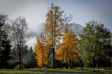 Ebensee am Traunsee -- Herbststimmung