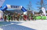 Start zu einem Rennen das SKIMO Alpencup 2020, Berchtesgaden 
Bild: Roland Hold