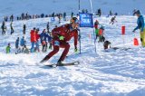 Rasante Abfahrt in einem Rennen des SKIMO Alpencup 2020, Berchtesgaden 
Bild: Roland Hold