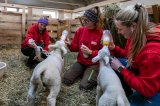 Fütterung von Ben Paul und Lia_mit Tierpflegerinnen Lisa, Melina und Eva -- Fotonachweis Gut Aiderbichl