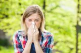 Rund zwei Millionen OesterreicherInnen leiden an Atemwegsallergien, überwiegend ausgelöst durch Gräser - Getreide- und Baumpollen. 
Bildquelle: © Mladen Mitrinovic/shutterstock.com