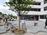 Am Foto: Bürgermeister Kons. Karl Staudinger übergibt dem von ihm gespendeten Kastanienbaum.