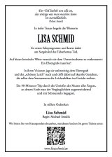 Lisa Schmid Ehrengrab Pressetext-Flyer@Andreas Fleckl