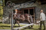 Im Salzburger Freilichtmuseum in Großgmain erwarten Sie 100 wieder errichtete Originalbauten aus Landwirtschaft, Handwerk, ländlichem Gewerbe und Industrie.