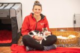 Fotonachweis Gut Aiderbichl) 3 ausgesetzte Katzenbabys wurden jetzt von Gut Aiderbichl Henndorf gerettet
