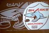 EISHOCKEY - Generalversammlung der UEHV RAUCH Technology Sharks Gmunden 2022
