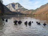 Fotos„Österreichische Wasserrettung Landesverband OÖ“
