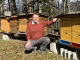 (c) Hannes Heide
Bildtext: Europaabgeordneter Hannes Heide setzt sich im Europaparlament für den Schutz der Bienen ein.